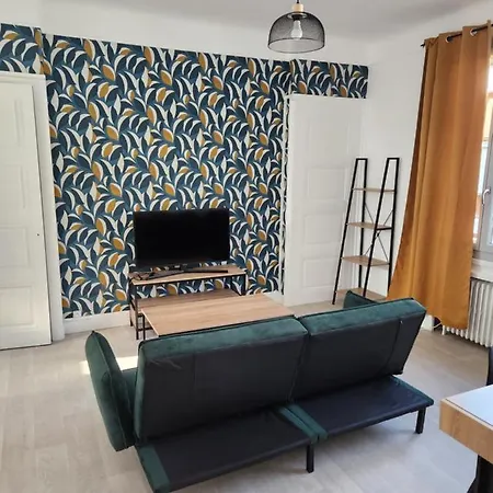 T3 Cosy Saint-Etienne (Loire)
